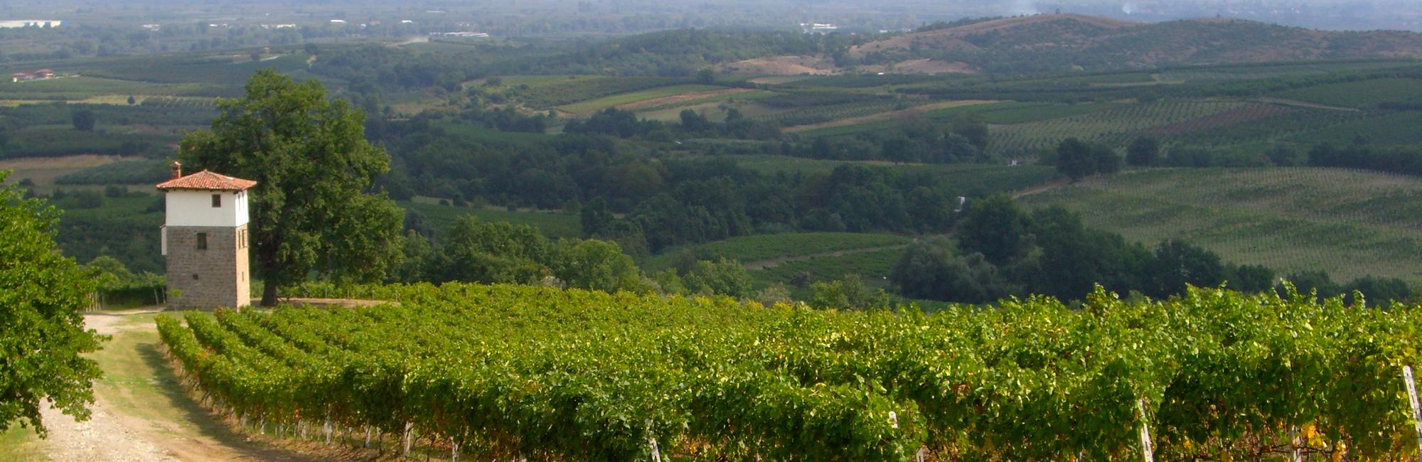 Kir-Yiannis winery